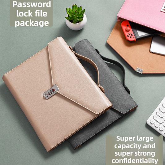 Black Anti-Theft Document Organizer